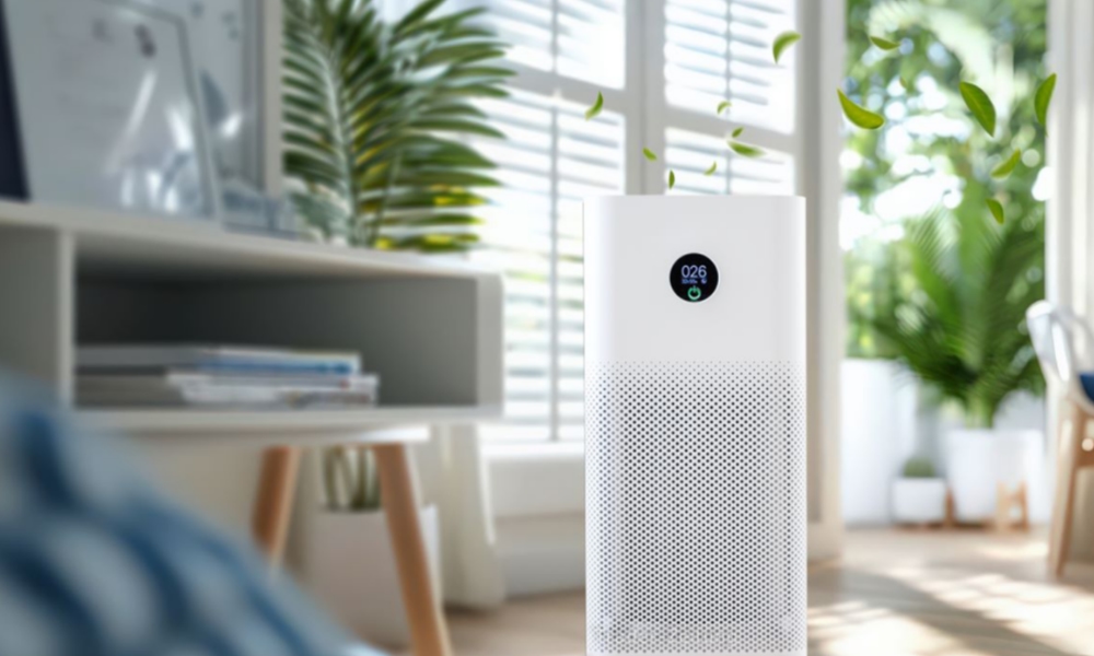 Air Purifier for the living room