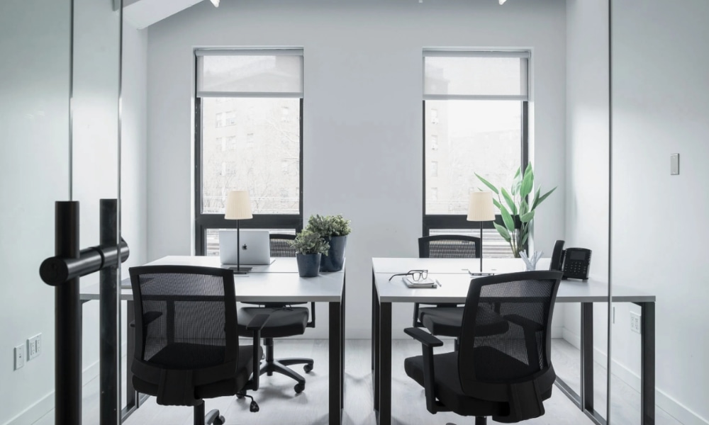 Calming colors and natural light in office