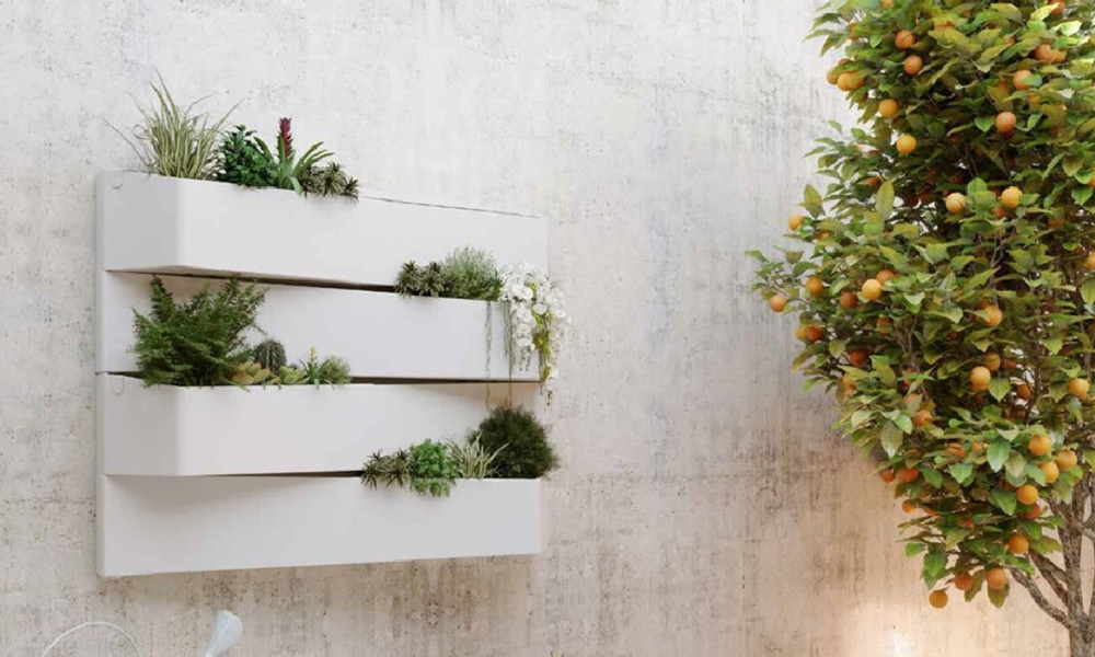 Wall Plants on large walls