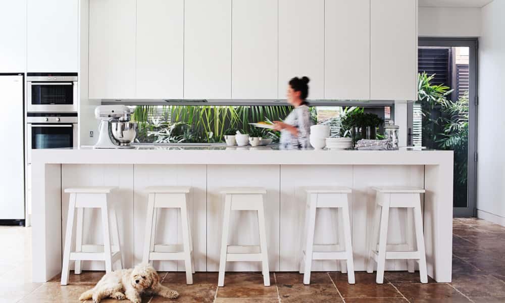 Kitchen Upgrading Advice Mintpalment: Best Tips for a Fresh New Look 8 Greenery in kitchen