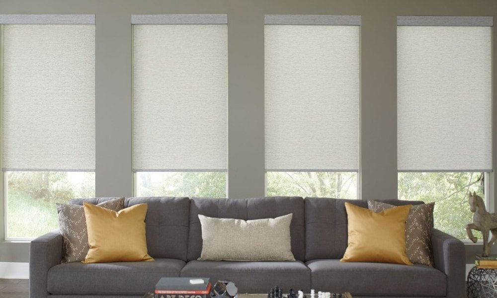 Best Cat Proof Window Blinds to Protect Your Home 5 Roller Shades